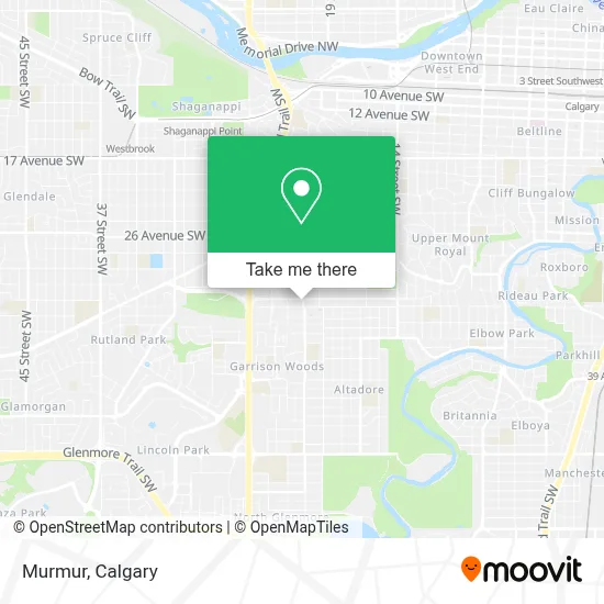 Murmur map