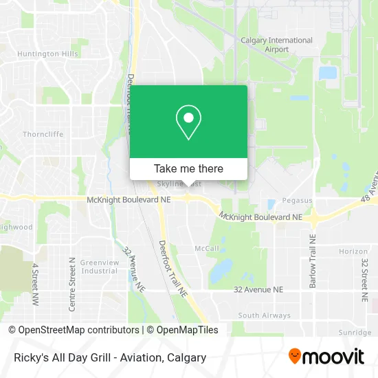 Ricky's All Day Grill - Aviation map