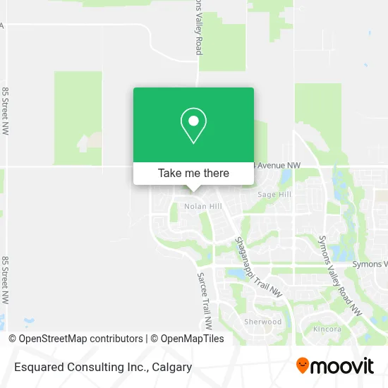 Esquared Consulting Inc. map