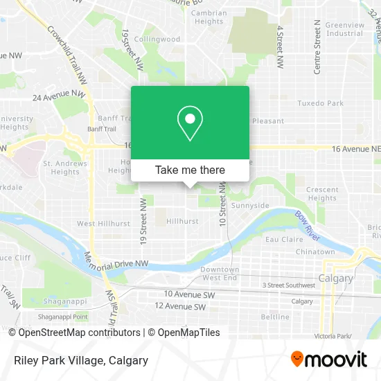 Riley Park Village plan