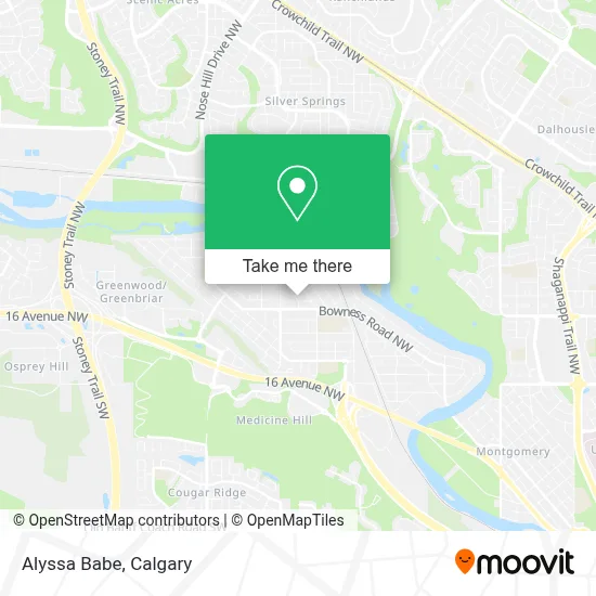 Alyssa Babe map