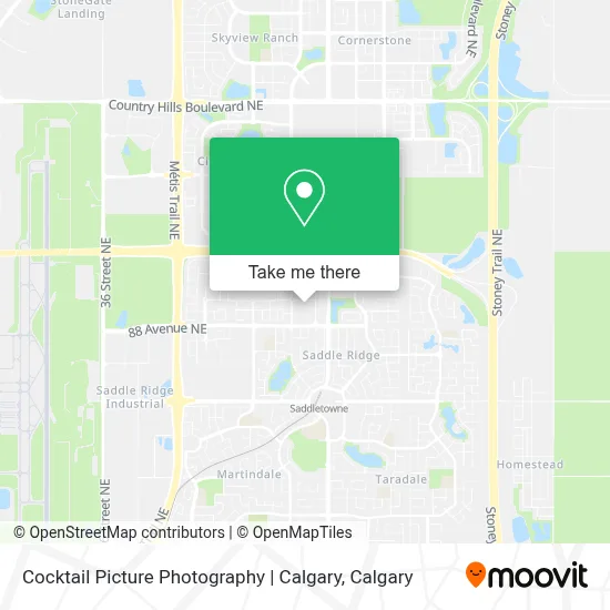Cocktail Picture Photography | Calgary map