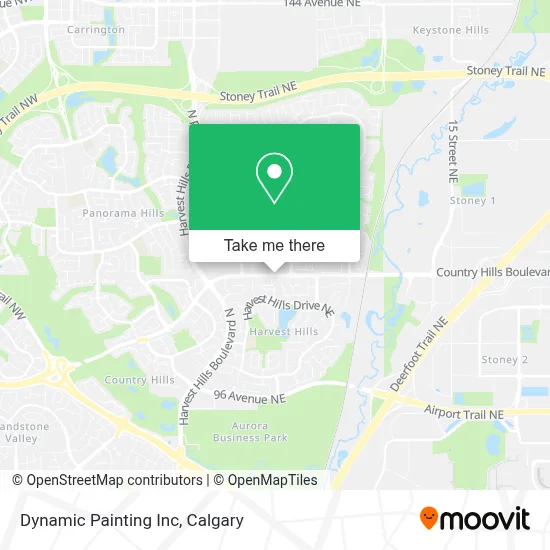Dynamic Painting Inc map