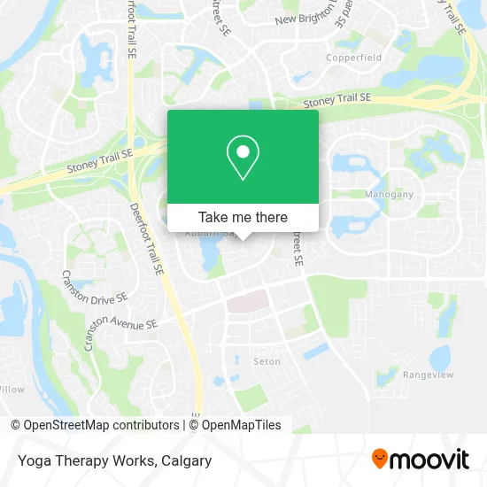 Yoga Therapy Works map