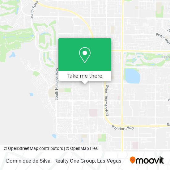 Dominique de Silva - Realty One Group map