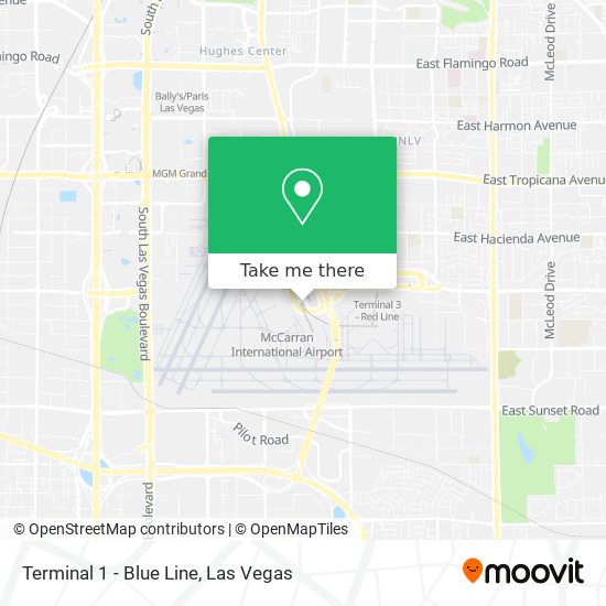 Terminal 1 - Blue Line map