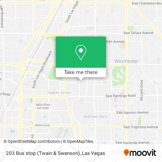 Mapa de 203 Bus stop (Twain & Swenson)