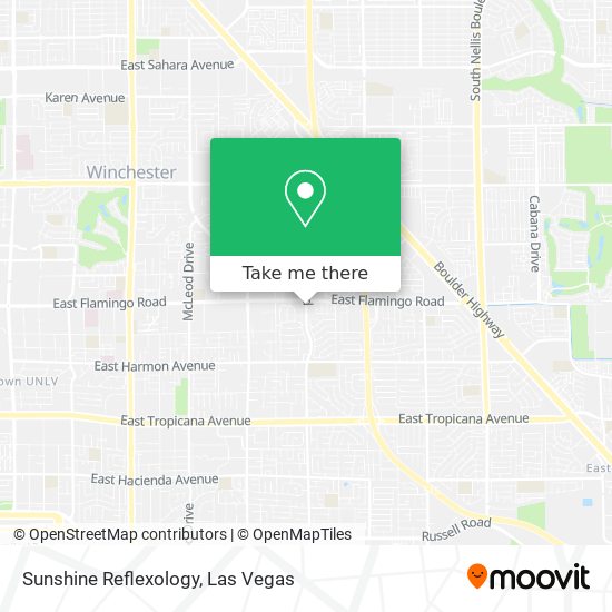 Sunshine Reflexology map