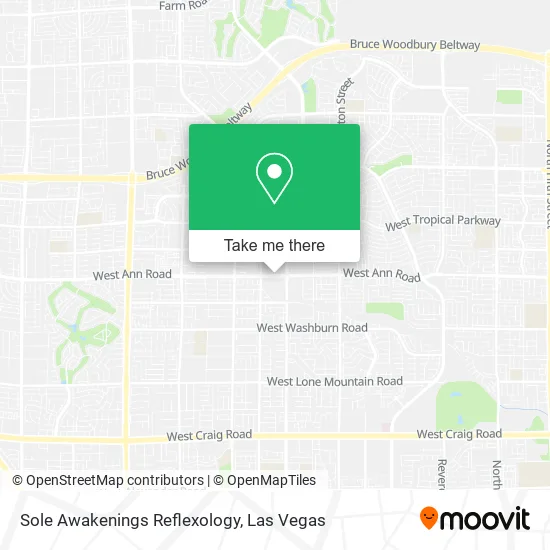Sole Awakenings Reflexology map