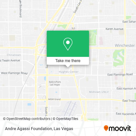 Andre Agassi Foundation map