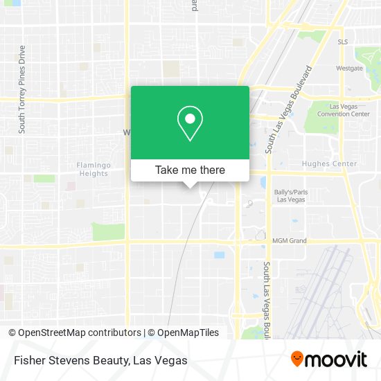 Fisher Stevens Beauty map