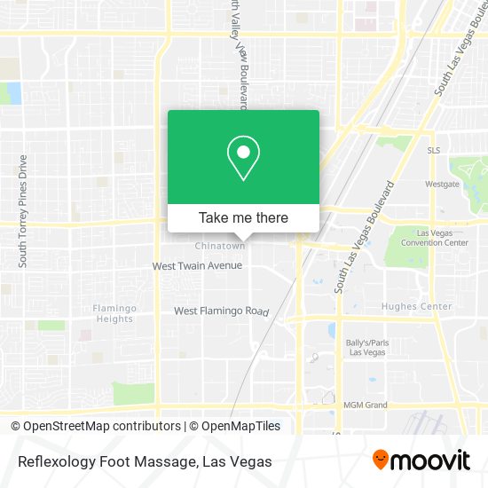 Mapa de Reflexology Foot Massage