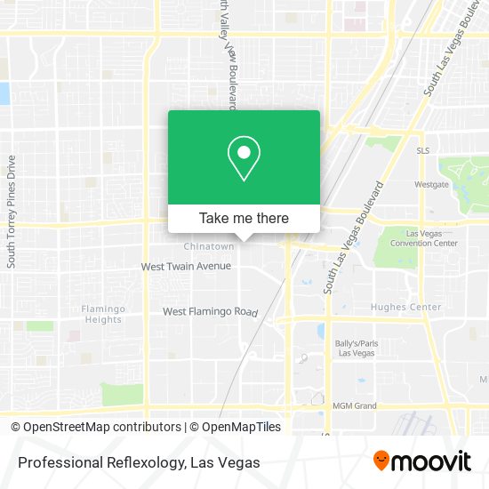 Professional Reflexology map