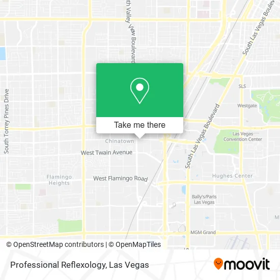 Mapa de Professional Reflexology