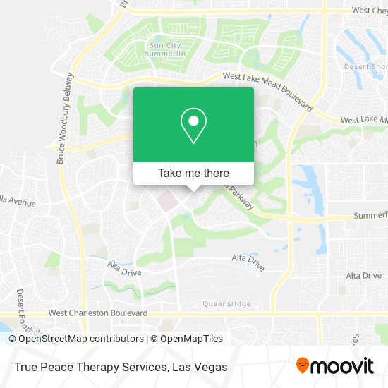 True Peace Therapy Services map