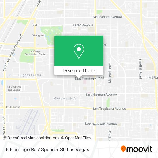 Mapa de E Flamingo Rd / Spencer St
