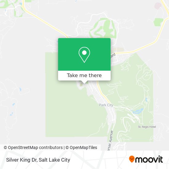 Silver King Dr map
