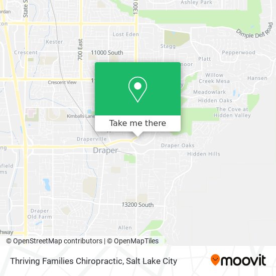 Mapa de Thriving Families Chiropractic