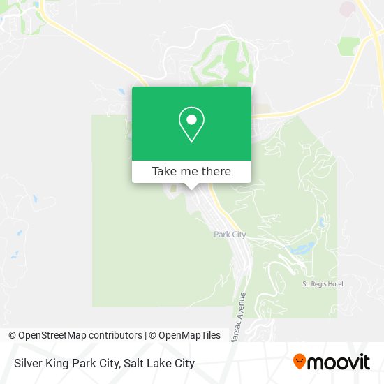 Silver King Park City map