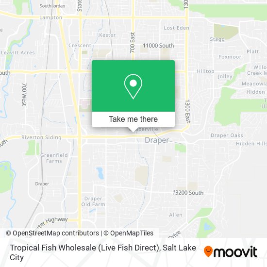 Tropical Fish Wholesale (Live Fish Direct) map