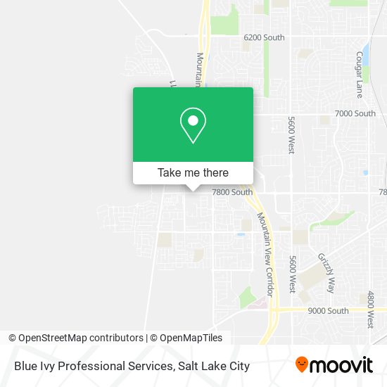 Blue Ivy Professional Services map