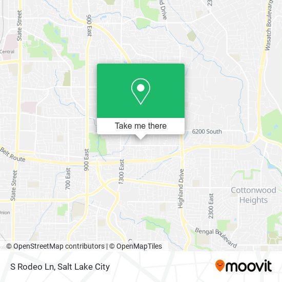 S Rodeo Ln map