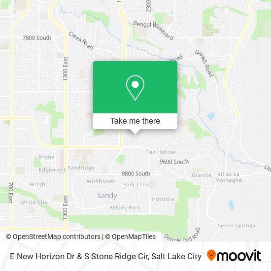 E New Horizon Dr & S Stone Ridge Cir map