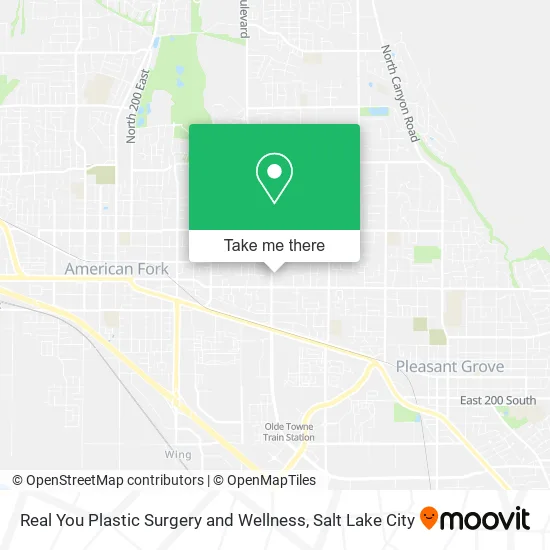 Real You Plastic Surgery and Wellness map