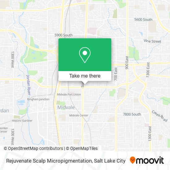 Rejuvenate Scalp Micropigmentation map