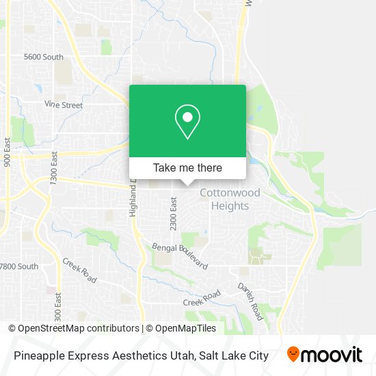 Pineapple Express Aesthetics Utah map