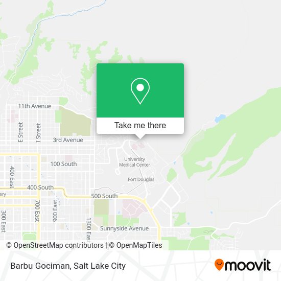 Barbu Gociman map