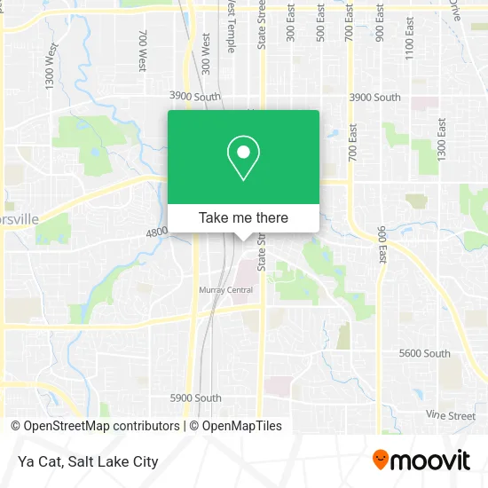 Ya Cat map