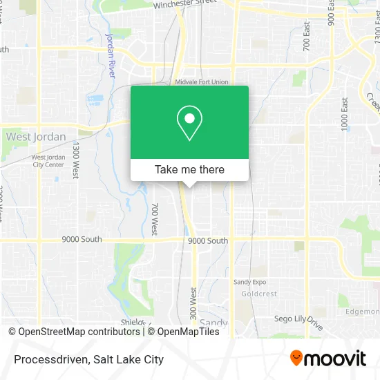 Processdriven map