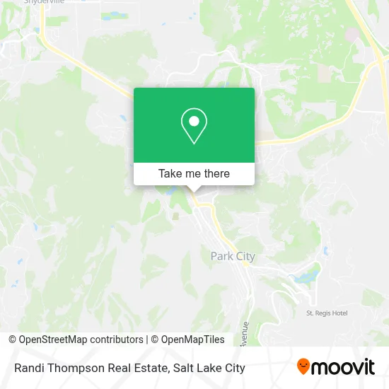 Randi Thompson Real Estate map