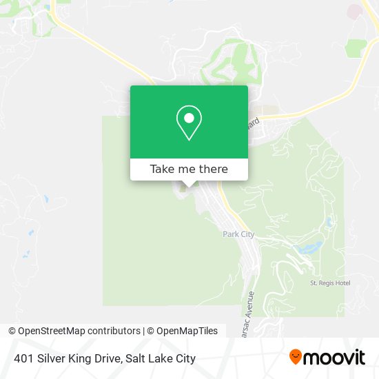 Mapa de 401 Silver King Drive