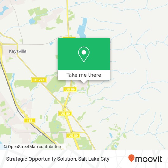 Strategic Opportunity Solution map