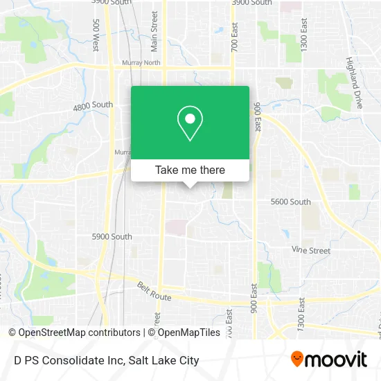 D PS Consolidate Inc map