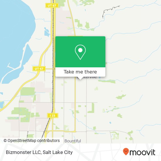 Bizmonster LLC map