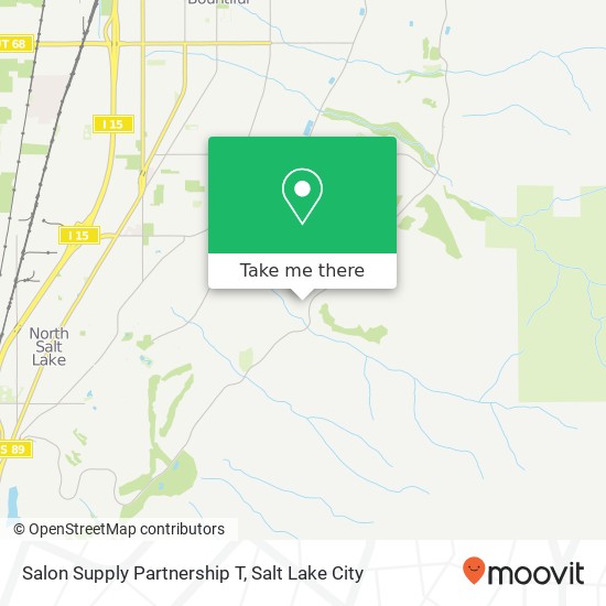 Salon Supply Partnership T map