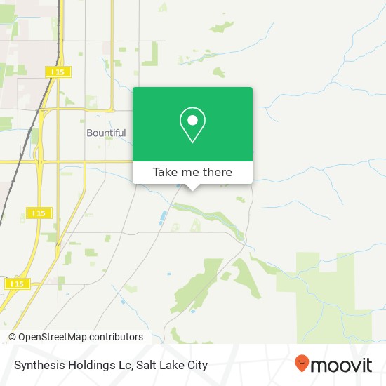 Mapa de Synthesis Holdings Lc