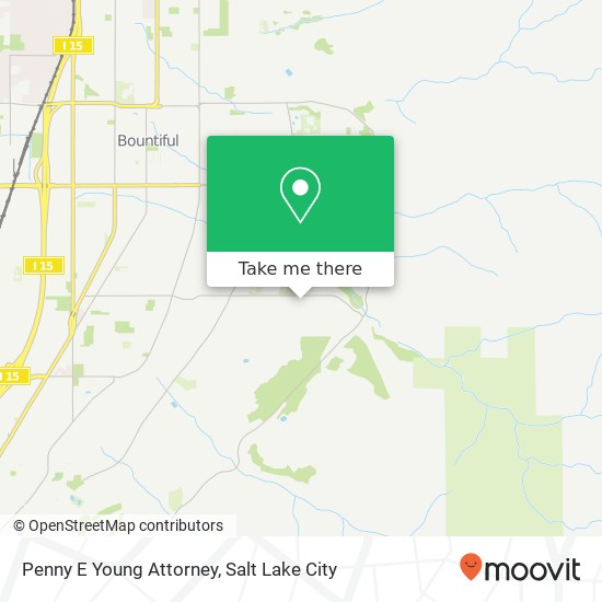 Penny E Young Attorney map