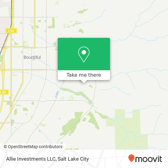 Allie Investments LLC map
