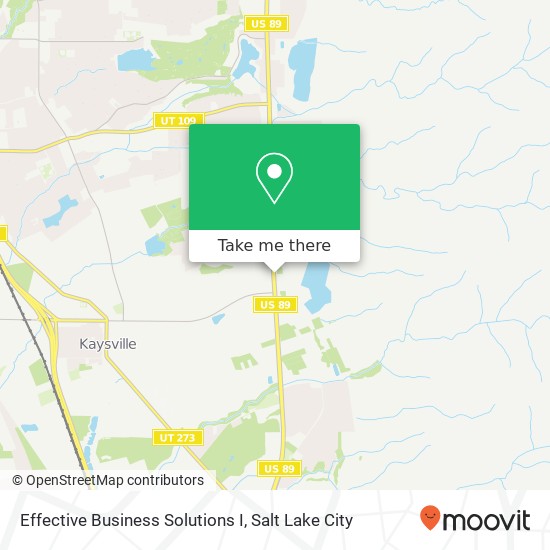 Effective Business Solutions I map