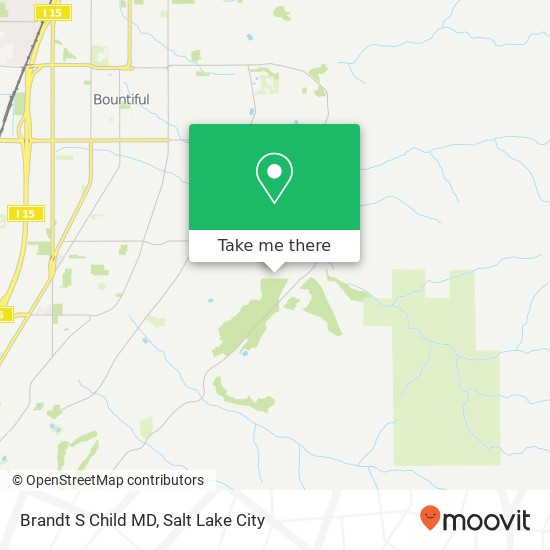 Brandt S Child MD map