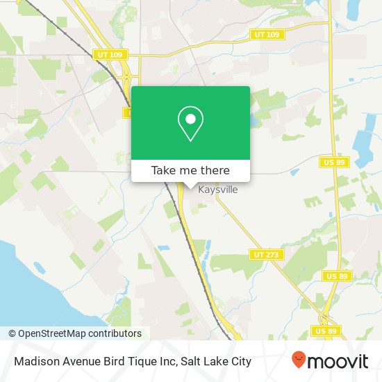 Mapa de Madison Avenue Bird Tique Inc