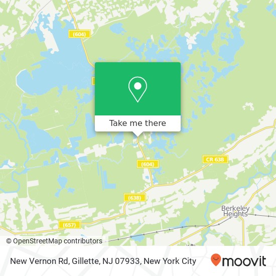 New Vernon Rd, Gillette, NJ 07933 map