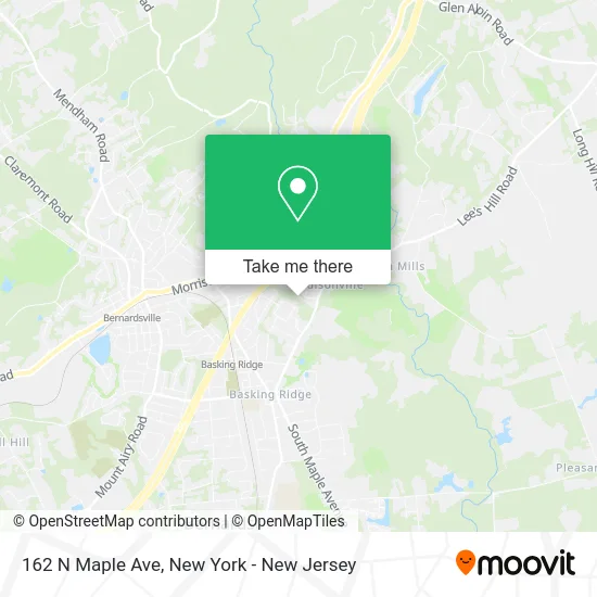 162 N Maple Ave map