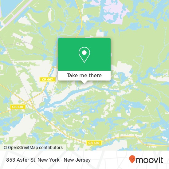 Mapa de 853 Aster St, Browns Mills, NJ 08015