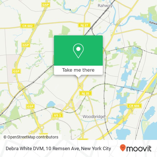 Mapa de Debra White DVM, 10 Remsen Ave
