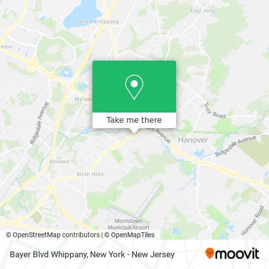 Bayer Blvd Whippany map